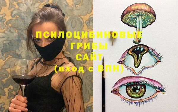 СК Семилуки