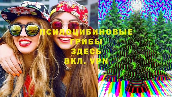 спиды Балахна