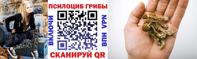 даркнет сайт  Купино  Галлюциногенные грибы мухоморы 