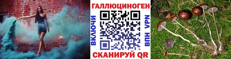 Псилоцибиновые грибы ЛСД Купино