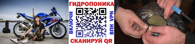Конопля ГИДРОПОН Купино